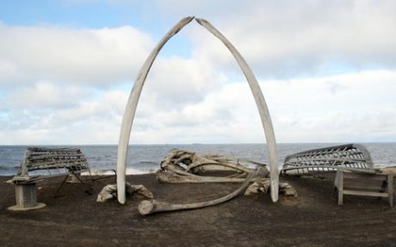 Barrow Day Excursion