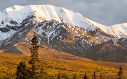 Denali Arctic Circle Vacation
