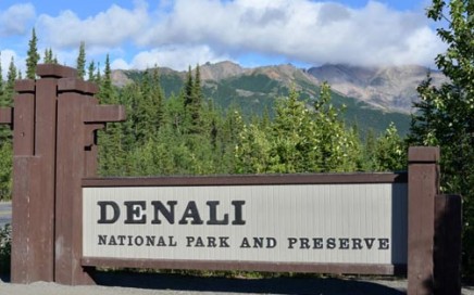Denali Sampler