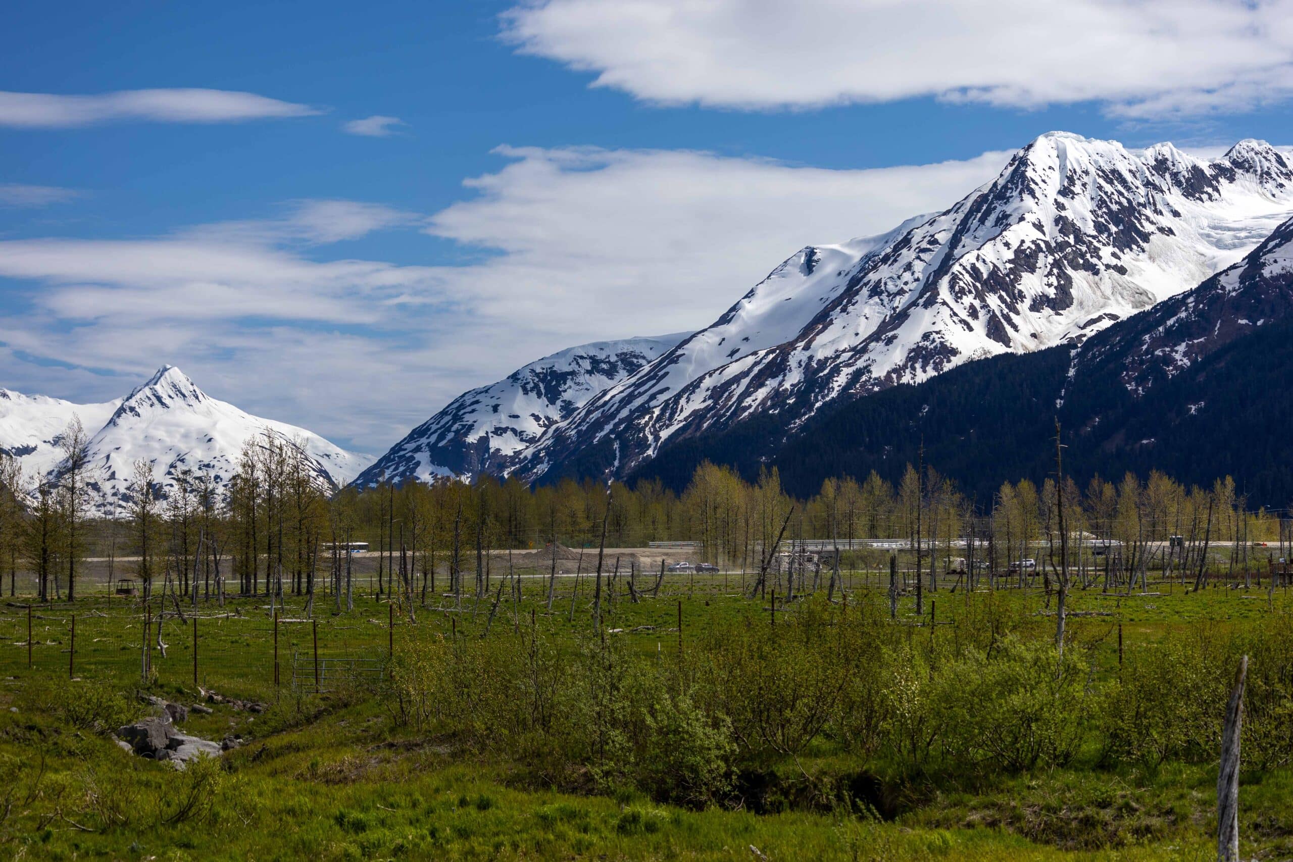 Snow-capped mountains rise above a grassy valley with sparse trees under a partly cloudy blue sky.