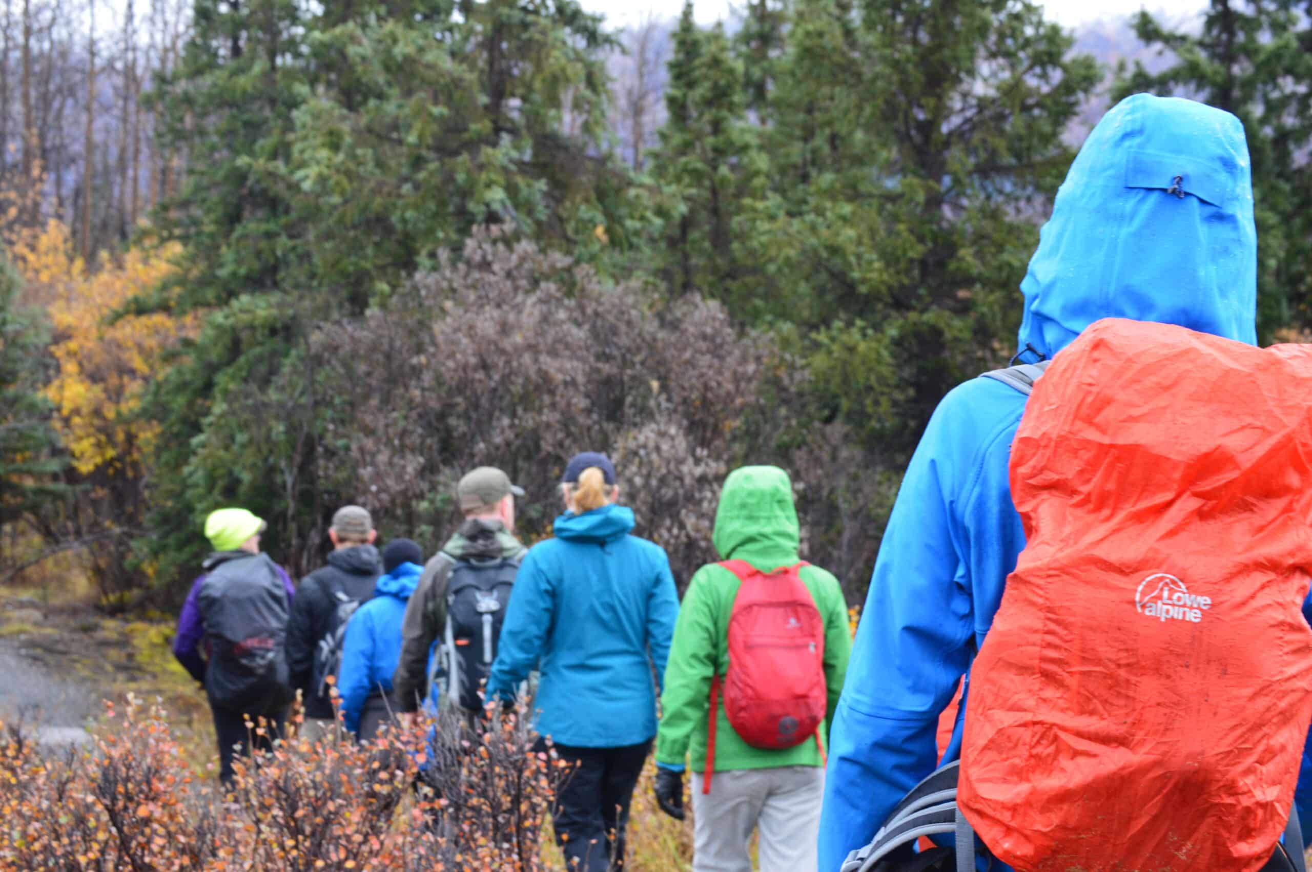 A group of hikers in colorful jackets and backpacks walk along a forest trail surrounded by autumn foliage.